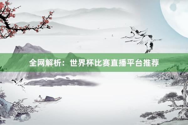 全网解析：世界杯比赛直播平台推荐